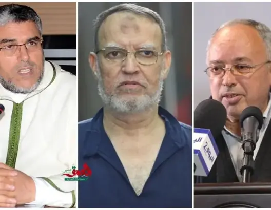 القيادي الإخواني العريان يطلب من الرميد والسفياني مقاضاة السيسي