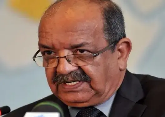 حقوقيون جزائريون: مساهل “وصمة عار” بالنسبة للدبلوماسية الجزائرية