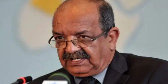 حقوقيون جزائريون: مساهل “وصمة عار” بالنسبة للدبلوماسية الجزائرية