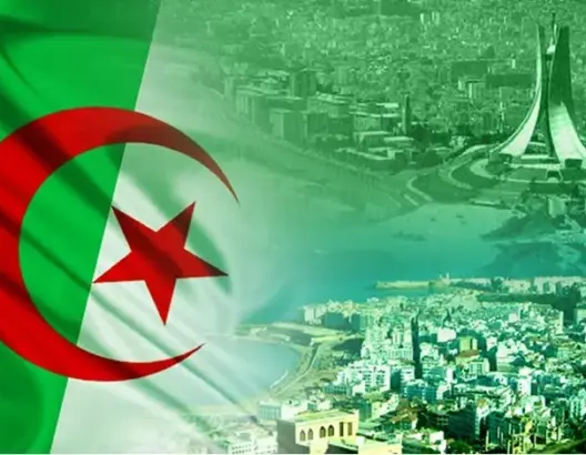 عكس المغرب وتونس.. الشركات الجزائرية متخلفة في مجال الأنترنيت