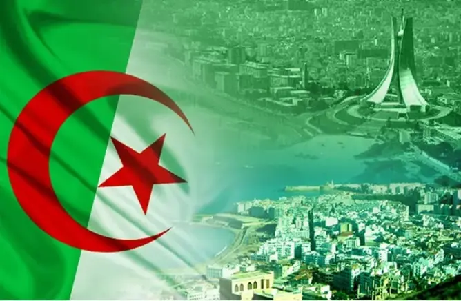 عكس المغرب وتونس.. الشركات الجزائرية متخلفة في مجال الأنترنيت