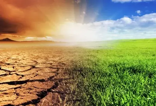 الجامعات المغربية تعمل منذ سنوات من أجل قضايا المناخ والبيئة