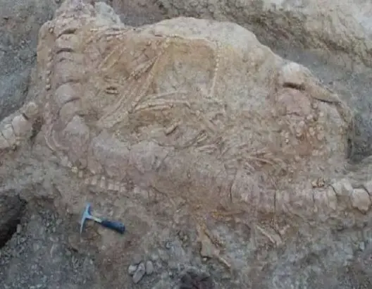 اكتشاف “وحش بحري” عمره 125 مليون عام