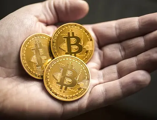 الفرق بين البيتكوين والإيثريوم والعملات البديلة