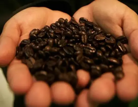 دراسة: عليكم بالقهوة لتجنب الوفاة المبكرة
