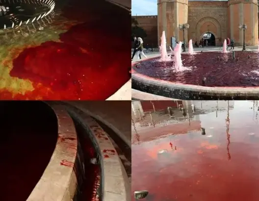 حركة “مالي” تلون نافورات الرباط بلون الدم.. والسلطات تفتح تحقيقا (صور)