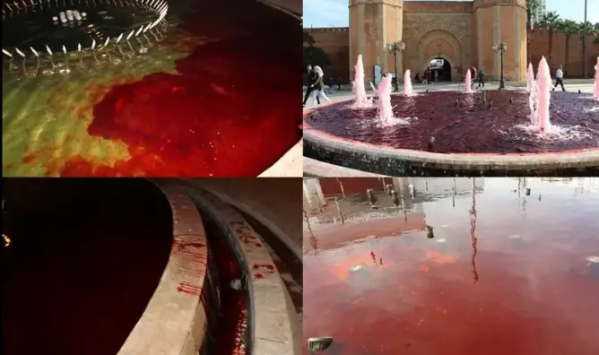 حركة “مالي” تلون نافورات الرباط بلون الدم.. والسلطات تفتح تحقيقا (صور)