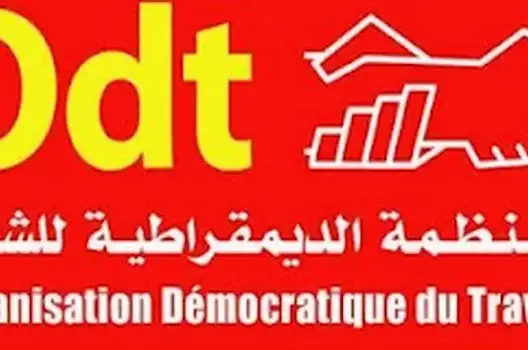 لماذا المنظمة الديمقراطية للثقافة ؟