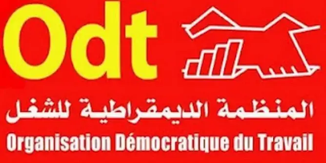 لماذا المنظمة الديمقراطية للثقافة ؟
