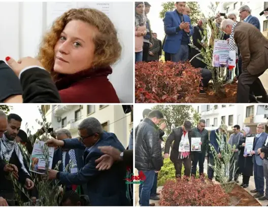 المغرب يكرم الطفلة عهد بغرس شجرة باسمها بحضور أسرى فلسطينيين (صور)