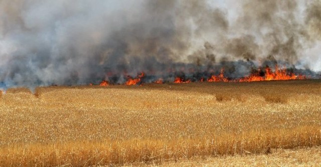 سلطات سلا تسيطر على حريق أتى على طن ونصف من التبن