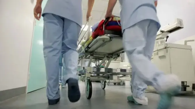 سائح يذبح كلبة نهشت قضيبه أثناء ممارسة الجنس عليها بالصويرة