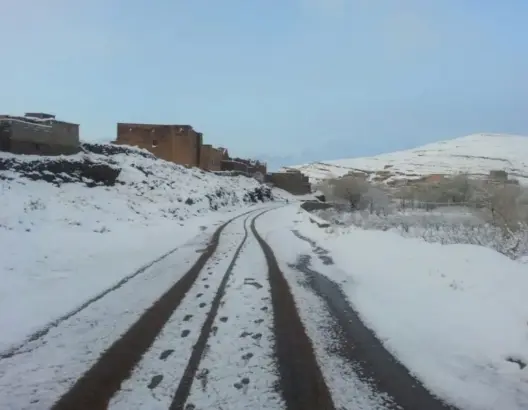 الثلوج تحاصر رحلا ضواحي تنغير.. وتهدد 500 رأس غنم بالنفوق