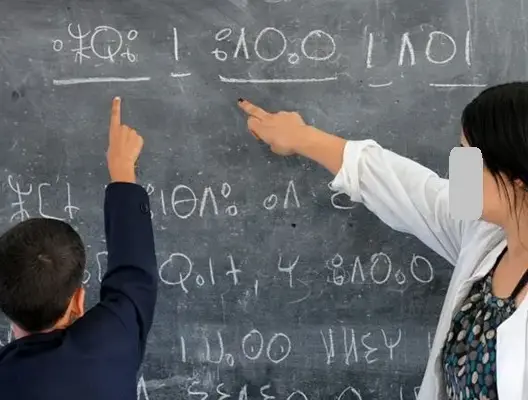 اعتبرها رصيدا مشتركا للمغاربة.. تكتل يدعو إلى توقيف ربط رسمية الأمازيغية بغير الناطقين بالعربية