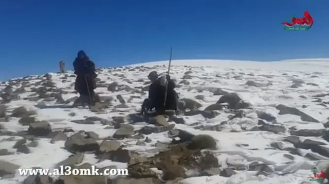 فيديو لحظة العثور على رحل تنغير في حالة حرجة ونفوق ما يزيد عن 220 رأس ماشية