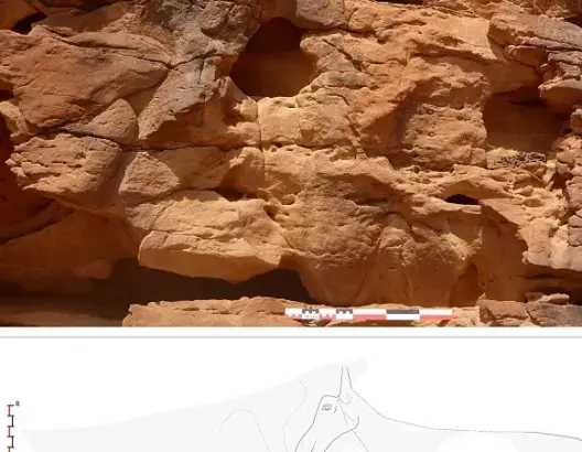 السعودية.. منحوتات “غير مسبوقة” للإبل تثير دهشة العلماء
