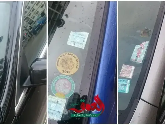 وضع الشارات على السيارات.. مطية للتحايل أم وسيلة لإبراز المكانة والتعالي؟