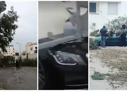 الرياح والأمطار القوية يتسببان في انهيارات وفيضانات بعدد من المناطق (فيديو+صور)
