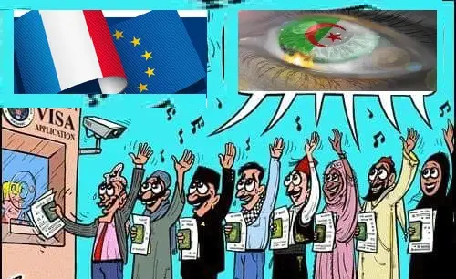هجرة الأدمغة، نزيف قاتل لمنظوماتنا الوطنية: ربع أطباء فرنسا من الجزائر !