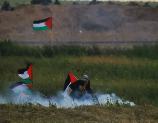 بلقاضي: الأنظمة العربية تخلت عن فلسطين.. والأمل في الشعب الفلسطيني