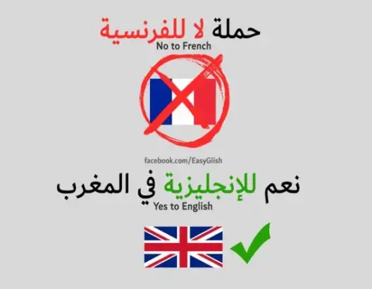 حملة إلكترونية بالمغرب.. نعم للإنجليزية بدل الفرنسية