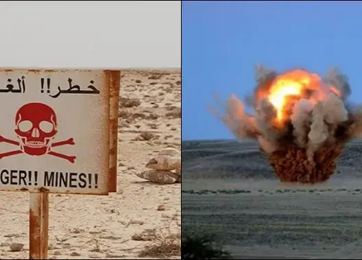 في اليوم العالمي لنزعها .. الألغام مصائد الإنسان في الصحراء