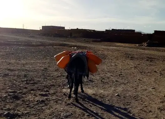 أزمة الماء زاكورة