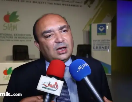 “خوكم منصف” يشبه هدف بوحدوز القاتل بضرر المقاطعة على الاقتصاد