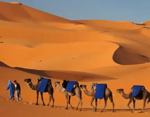 الصحراء المغربية بين نيران الثورات وكيد الجزائريين