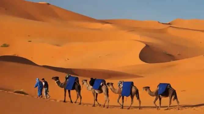 الصحراء المغربية بين نيران الثورات وكيد الجزائريين