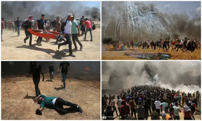 مجزرة غزة: فلسطين توجه نداء استغاثة وإسرائيل تهدد بقتل قادة حماس (صور)