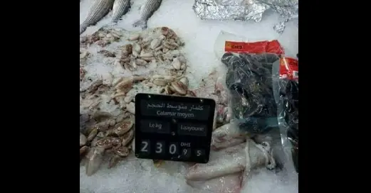 مغاربة يبدأون حملة مقاطعة السمك وشعارهم.. “خليه يعوم”