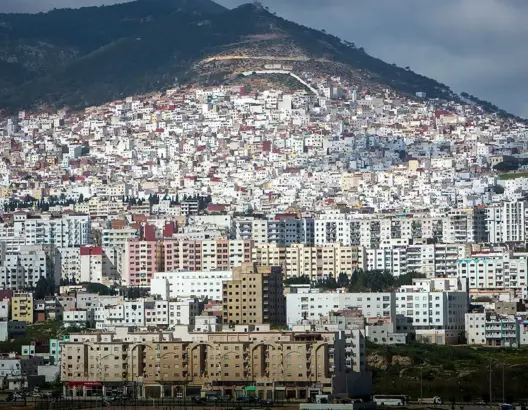 سكان مدن الشمال يشتكون “هجوم الناموس” والسلطات تستنفر مصالحها لمحاربته