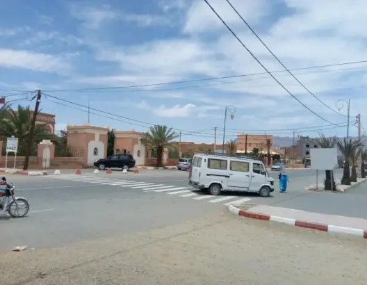 احتجاج بزاكورة ضد الكلاب الضالة .. وشاحنات الدلاح في قفص الاتهام