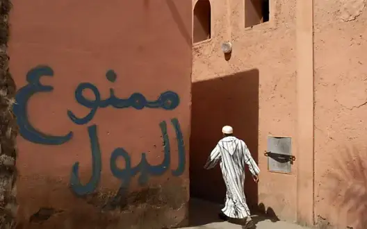 بيضاويون يطالبون بمراحيض عمومية.. ومسؤول: على المتضرر اللجوء لـpjd
