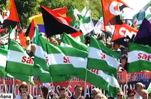 الاعتداء الجنسي على مغربيات الفراولة يخرج المئات لشوارع إسبانيا (فيديو)