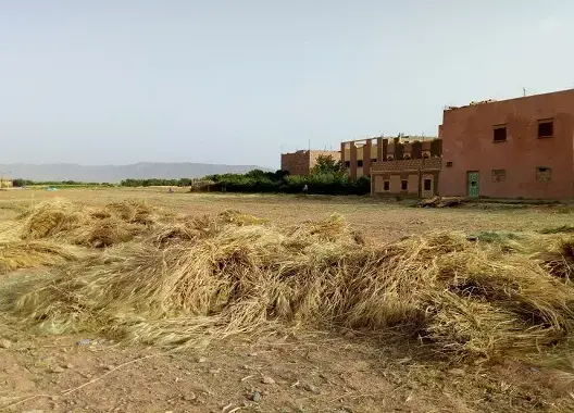 باشا الريش “يرفض” تسلم شكاية مواطن.. والمتضرر يناشد عامل ميدلت (صور – فيديو)