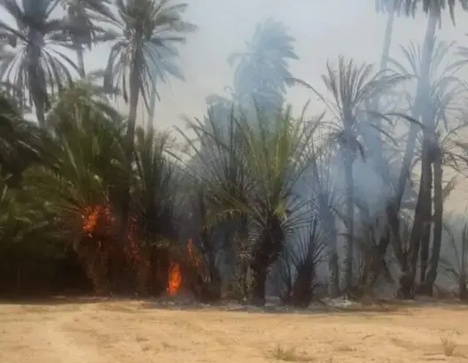 حريق مهول يلتهم واحة تيغمرت بكلميم ..والوقاية تحاول السيطرة عليه (فيديو)