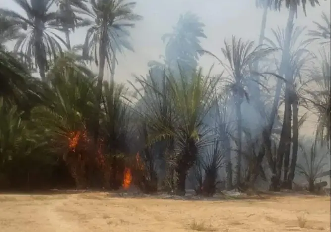 حريق مهول يلتهم واحة تيغمرت بكلميم ..والوقاية تحاول السيطرة عليه (فيديو)