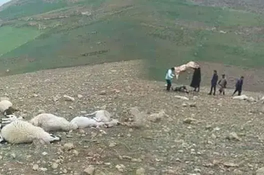 صاعقة رعدية تودي بحياة خمسيني وأغنامه بجبال الحوز (صور)