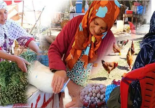 قرويات يكافحن على جنبات الطريق من أجل لقمة العيش (فيديو وصور)