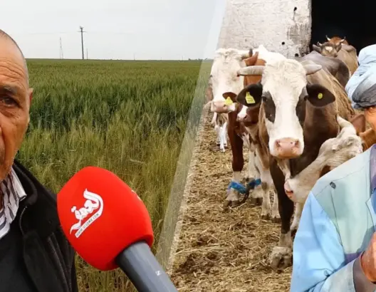 شبح الجفاف يهدد الموسم الفلاحي وفلاحون قلقون من لهيب الأسعار (فيديو)