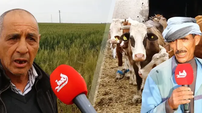 شبح الجفاف يهدد الموسم الفلاحي وفلاحون قلقون من لهيب الأسعار (فيديو)