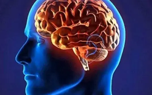 اليابان.. علماء يطورون جهازا يحاكي الدماغ ويميز الألوان بدقة تقارب قدرة العين البشرية