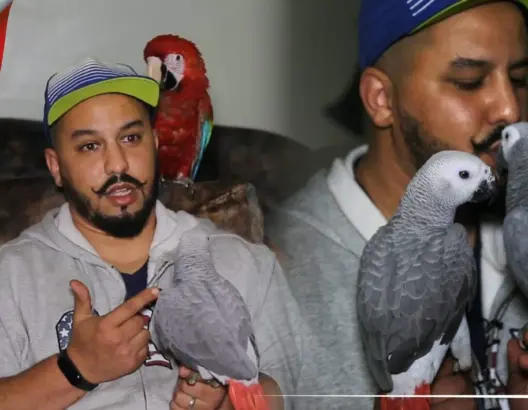 مصعب.. مغربي استطاع تربية أزيد من 200 نوع من الطيور ويعلم الببغاء الحديث كالبشر (فيديو)