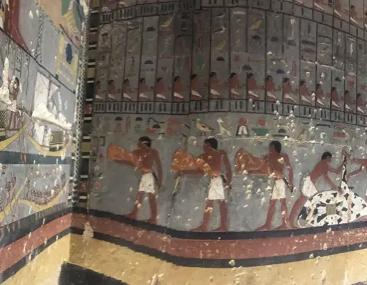 كشف تفاصيل مقبرة فرعونية عمرها 4400 عام