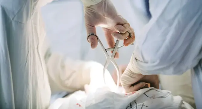 والدها ناشد الملك بالتدخل.. فتح تحقيق في وفاة حامل بالقصر الكبير