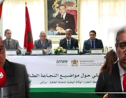 رباح: الكل رابح في مجال النجاعة الطاقية.. ومُلين: نحتاج للتحسيس (فيديو)