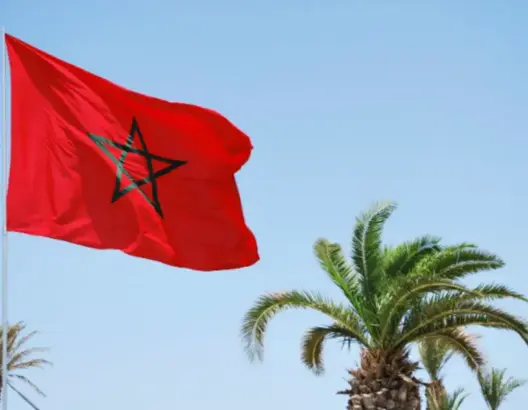 المغرب ضيف شرف معرض “ويش أفريكا” 2019 بلندن