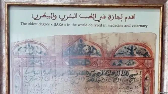 جامعة مغربية تمنح “أقدم إجازة في الطب”.. وهذه تفاصيل هوية صاحبها